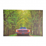 24X16 RED MUSTANG BY THE TREES