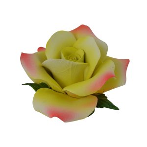 3.5" YELLOW/PINK ROSE