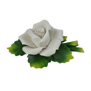 7" WHITE ROSE
