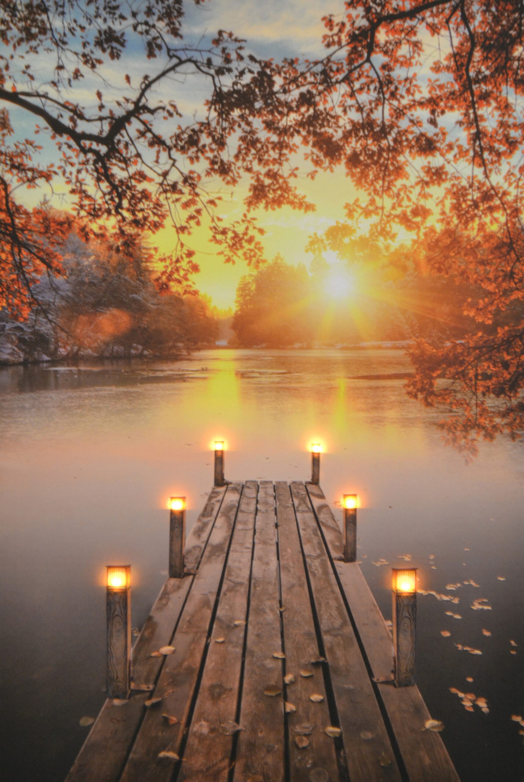 16X24 LIGHT UP SUNRISE IN AUTUMN - Image 2