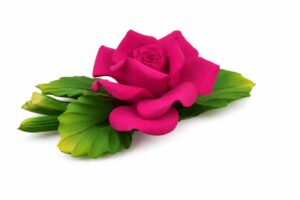 7X4 FUCHSIA COLOR ROSE